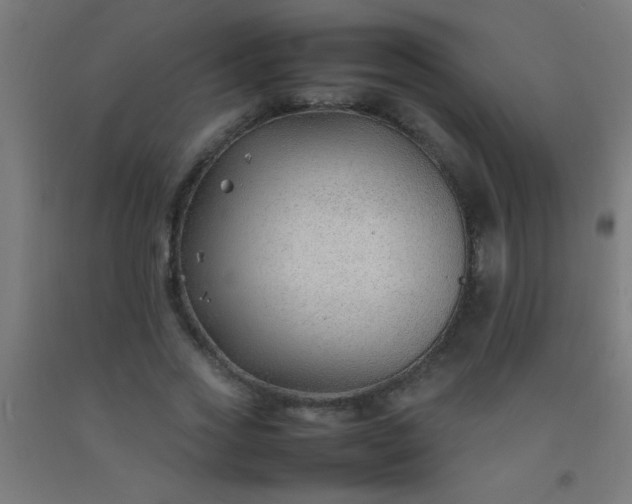 X0000092280733200709281245