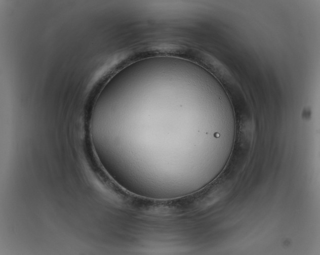 X0000092280734200709281245