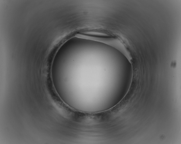 X0000092280736200709281245