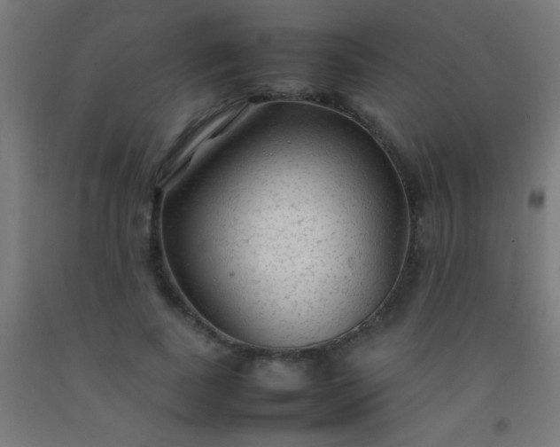 X0000092280739200709281245