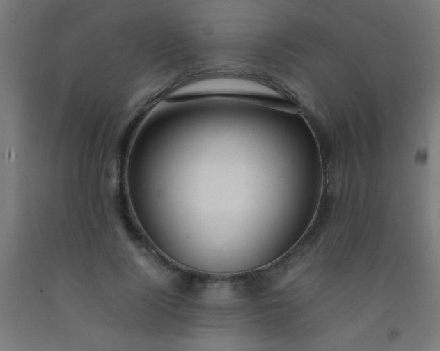 X0000092280740200709281245