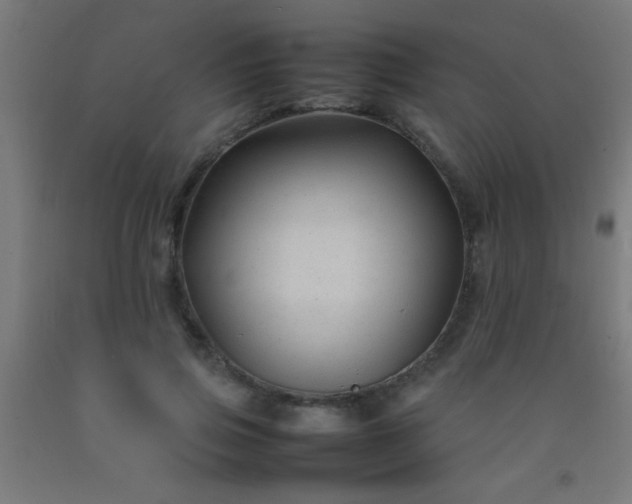 X0000092280741200709281245