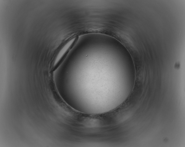 X0000092280743200709281245