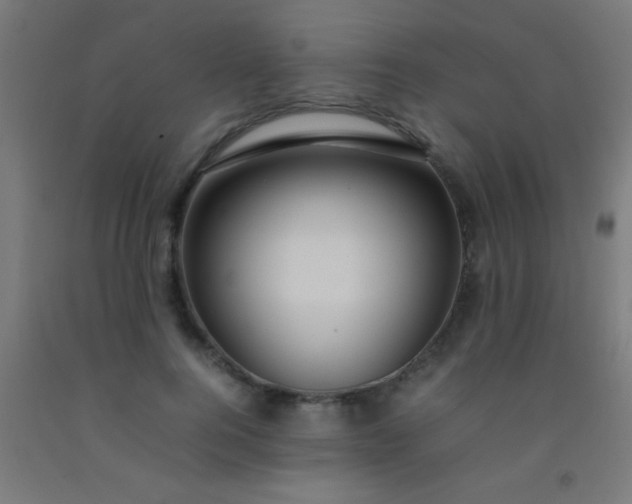 X0000092280744200709281245