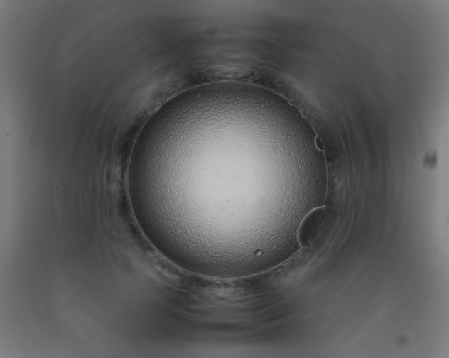 X0000092280745200709281245