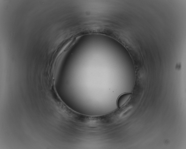 X0000092280746200709281245