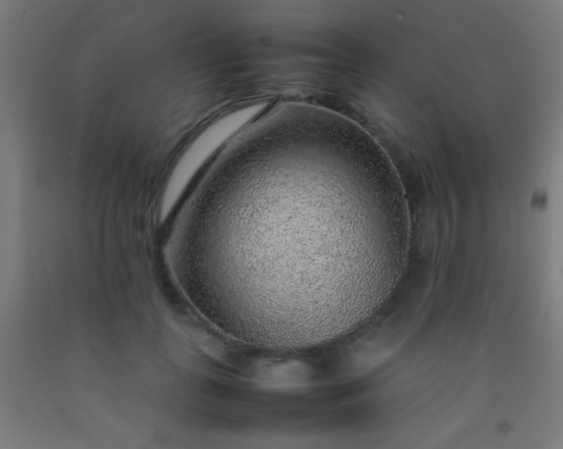 X0000092280747200709281245