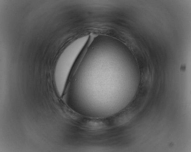 X0000092280749200709281245