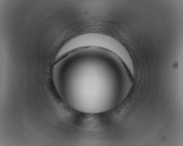 X0000092280750200709281245