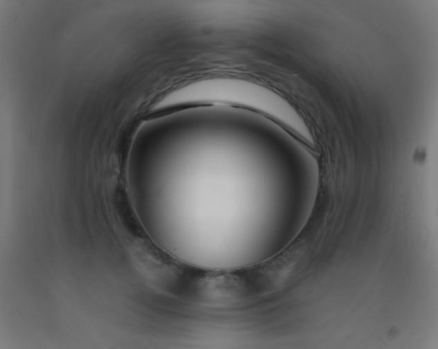 X0000092280752200709281245