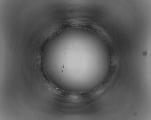 X0000092280753200709281245