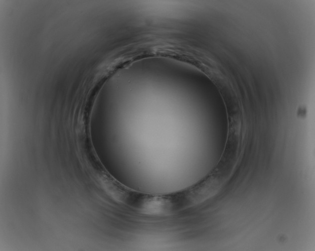 X0000092280754200709281245