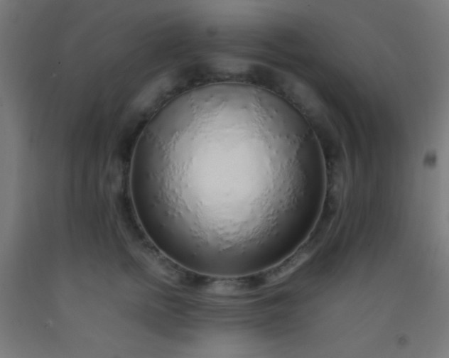 X0000092280758200709281245