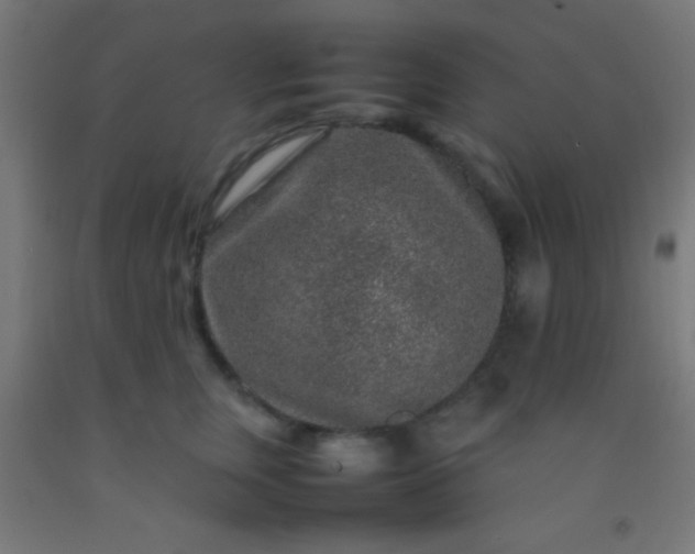 X0000092280759200709281245