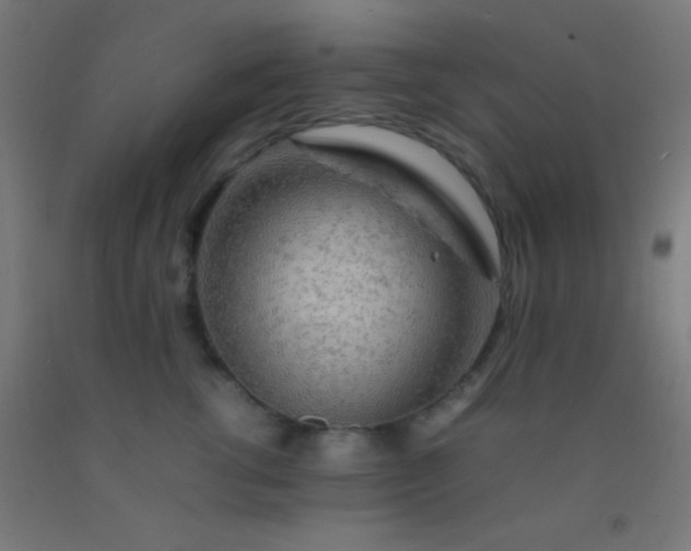 X0000092280762200709281245