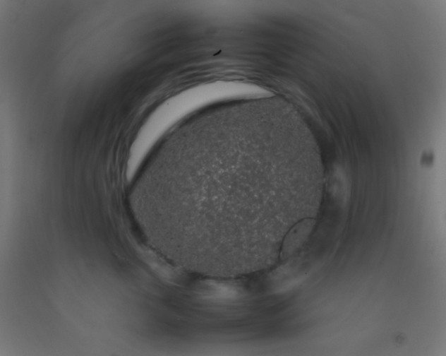 X0000092280763200709281245