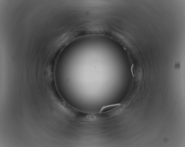 X0000092280764200709281245