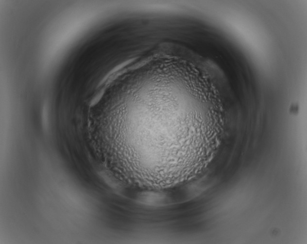 X0000092280765200709281245