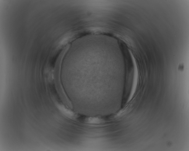 X0000092280766200709281245