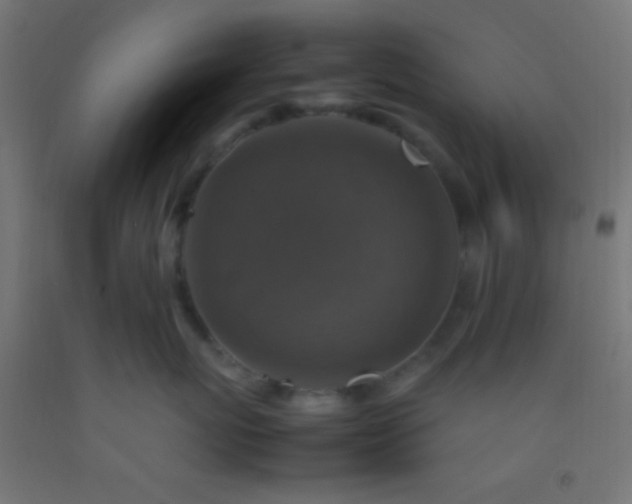 X0000092280767200709281245