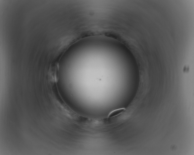 X0000092280768200709281245