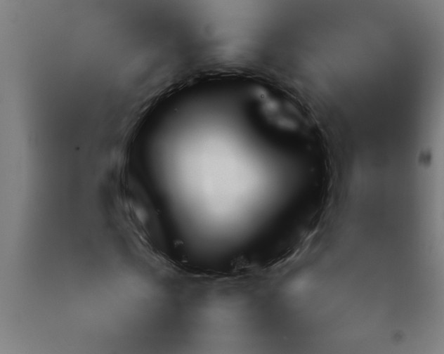 X0000092280769200709281245