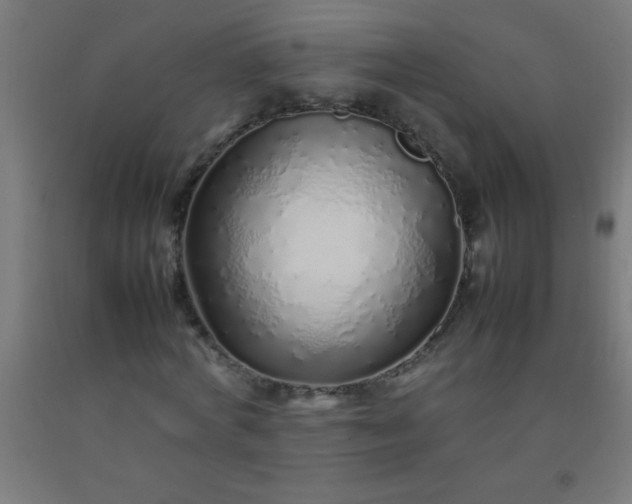 X0000092280772200709281245