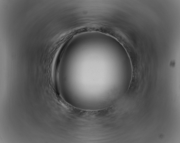 X0000092280773200709281245