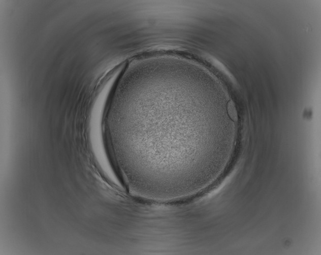 X0000092280777200709281245