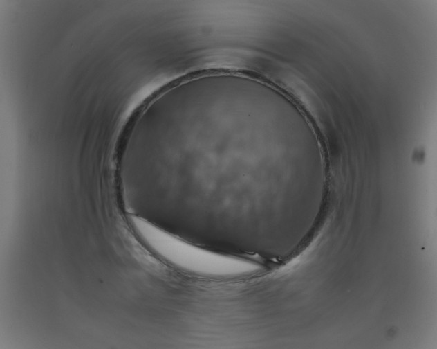 X0000092280779200709281245