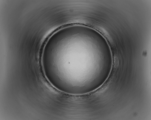 X0000092280780200709281245