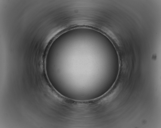 X0000092280782200709281245