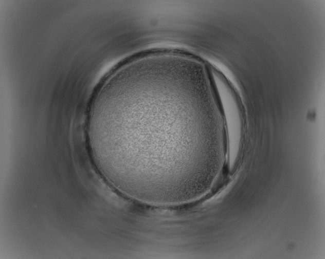 X0000092280783200709281245