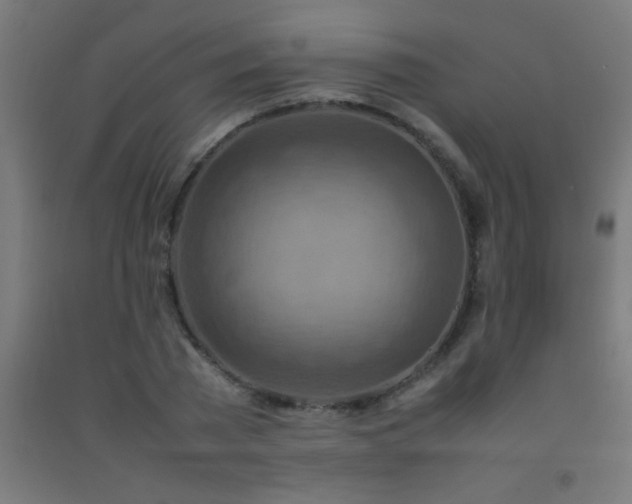 X0000092280785200709281245