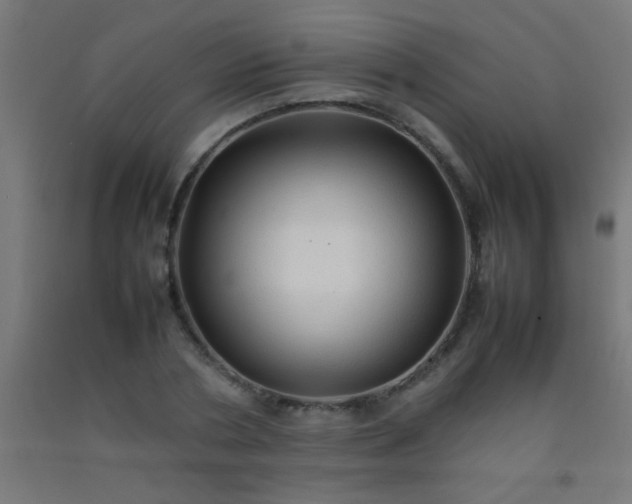 X0000092280786200709281245