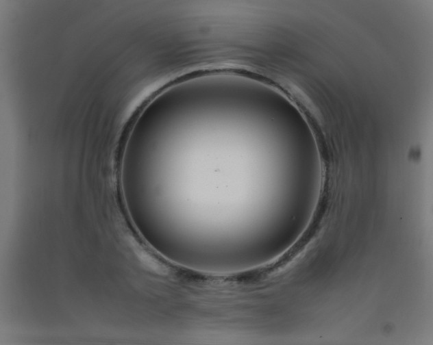 X0000092280789200709281245