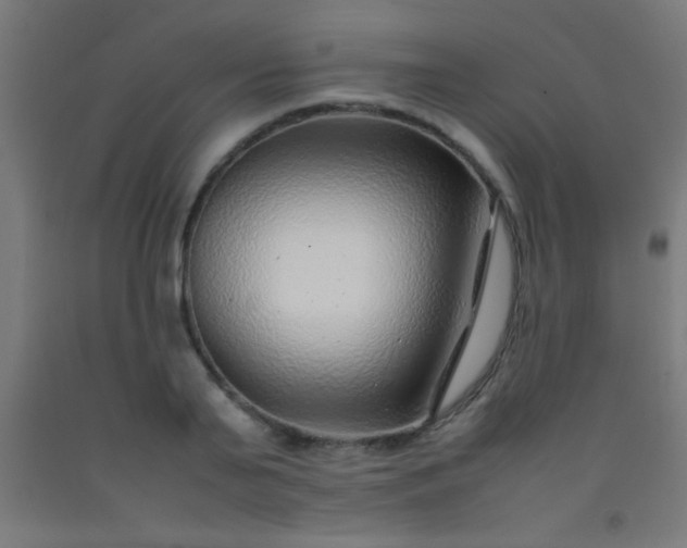 X0000092280791200709281245