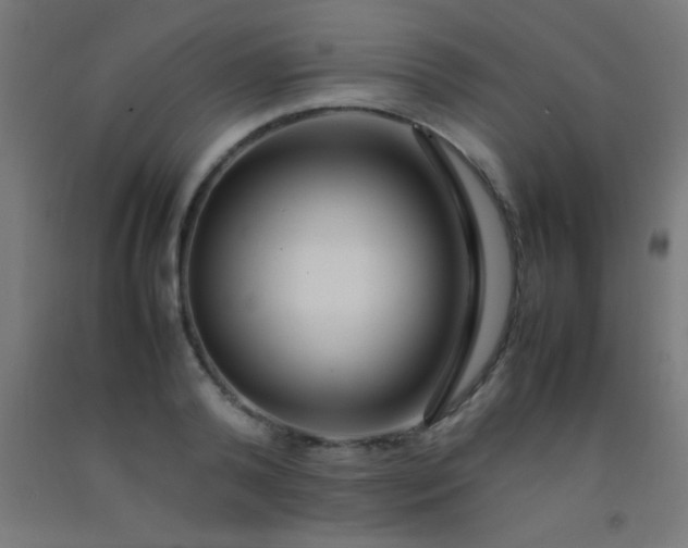 X0000092280792200709281244