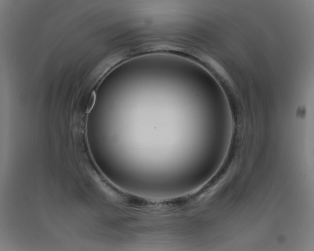 X0000092280793200709281244