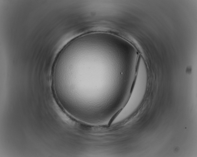 X0000092280795200709281244