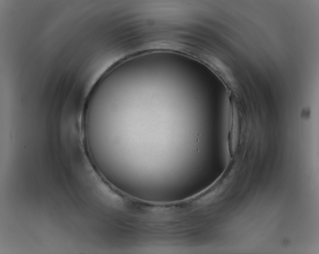 X0000092280796200709281244