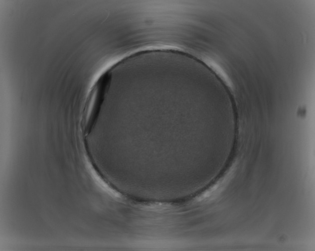 X0000092280797200709281244