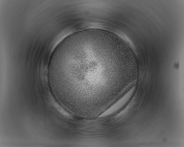 X0000092280798200709281244