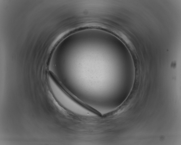 X0000092280799200709281244