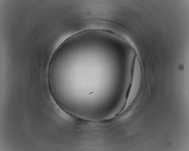 X0000092280803200709281244