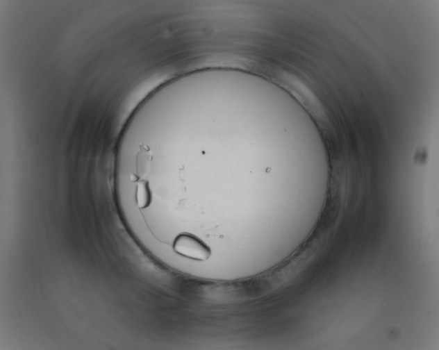 X0000092280804200709281244