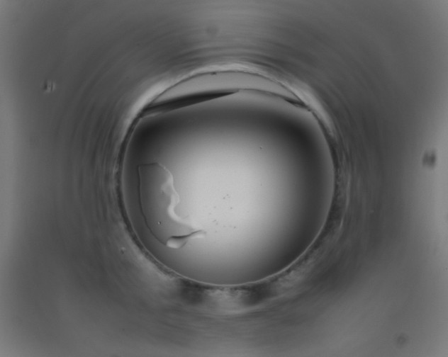 X0000092280805200709281244