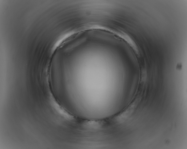 X0000092280806200709281244