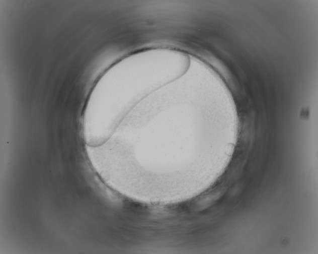 X0000092280807200709281244