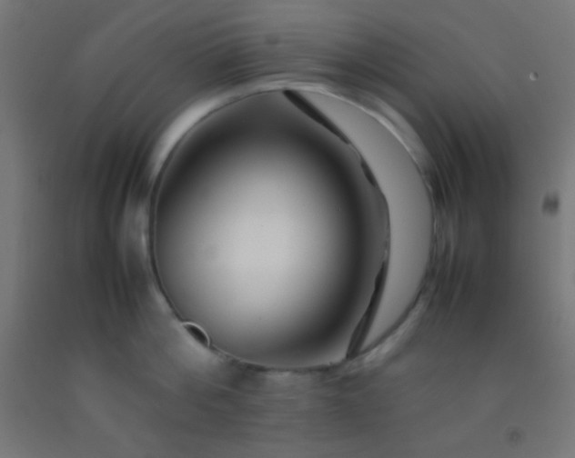 X0000092280812200709281244